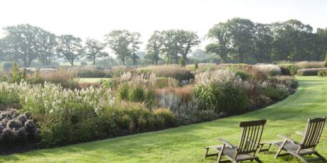 Planting a Prairie Garden Large or Small with Juliet Sargeant