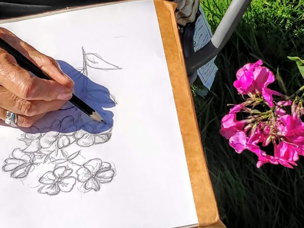 Botanical Drawing – joyfully! with Amanda Duke