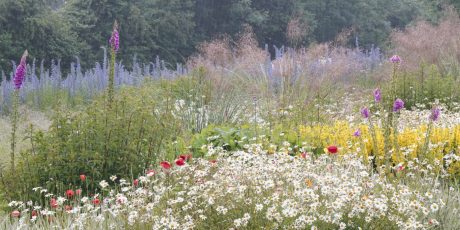 Photographing the Bigger Picture of the Garden with Clive Boursnell